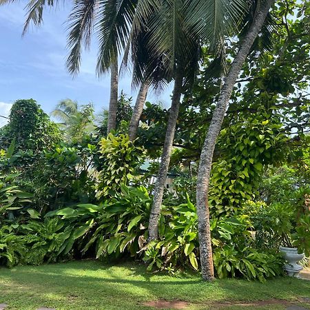Lohas Beach Resort Villa Kalutara Dış mekan fotoğraf