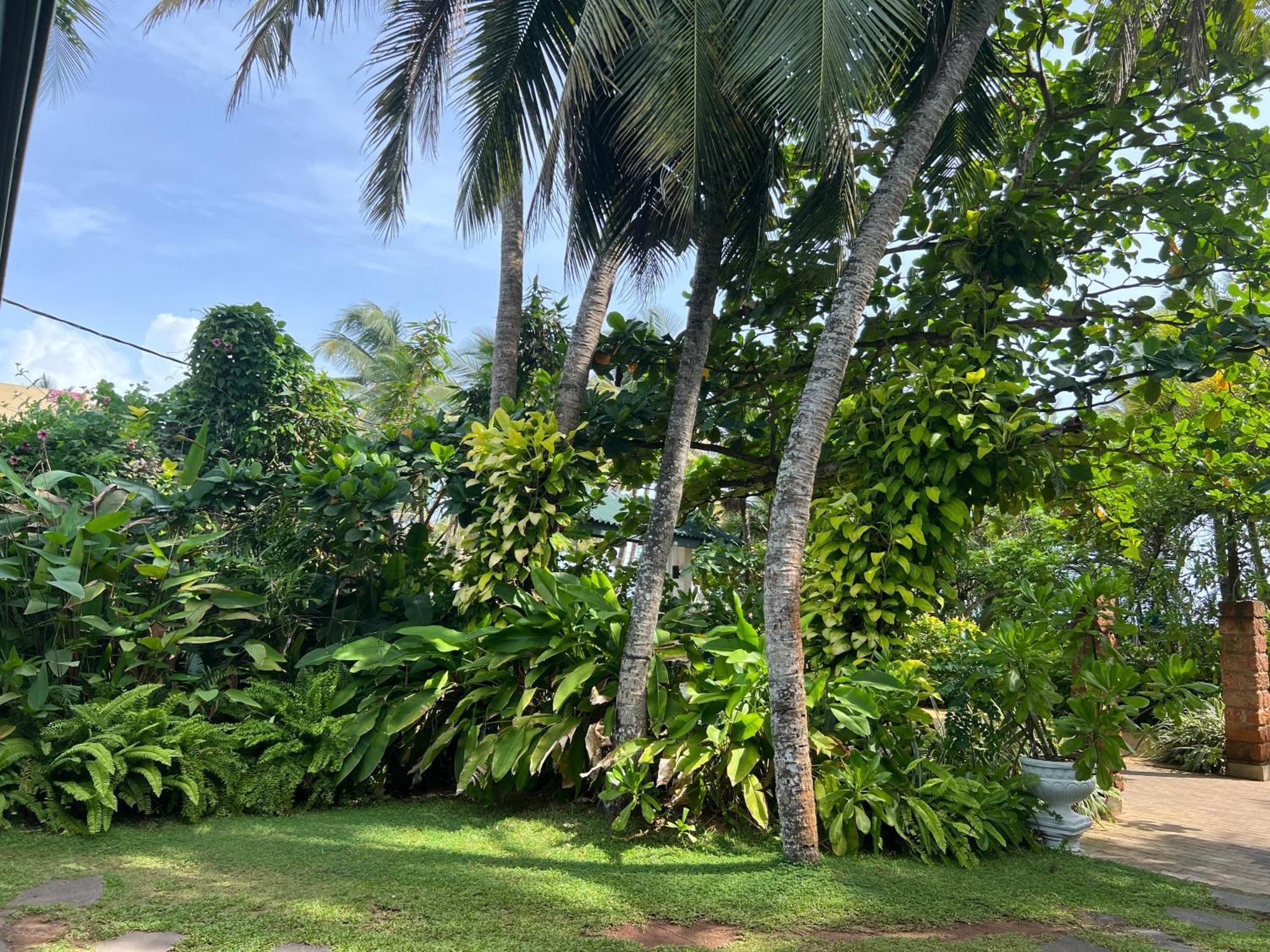 Lohas Beach Resort Villa Kalutara Dış mekan fotoğraf