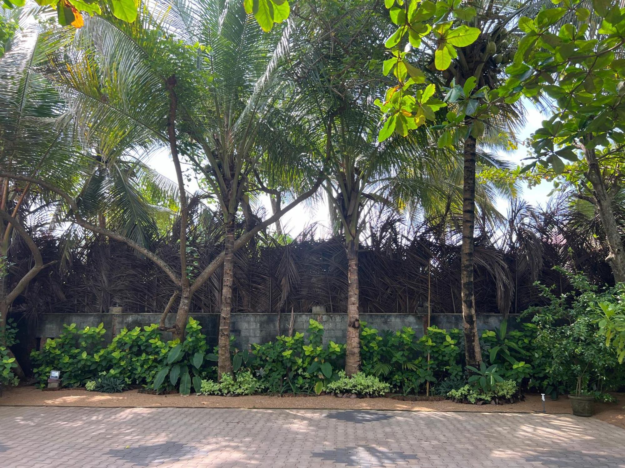 Lohas Beach Resort Villa Kalutara Dış mekan fotoğraf