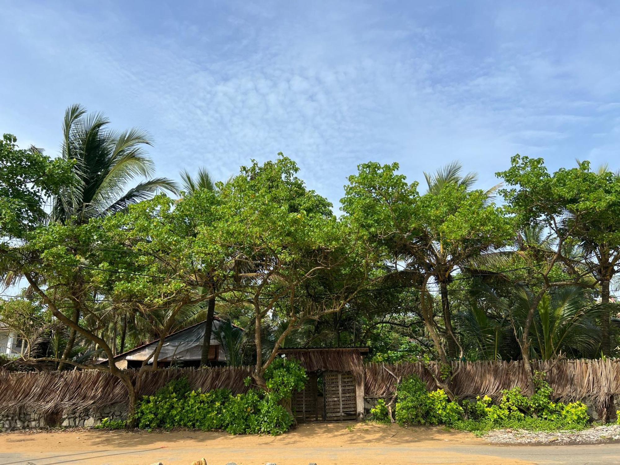 Lohas Beach Resort Villa Kalutara Dış mekan fotoğraf