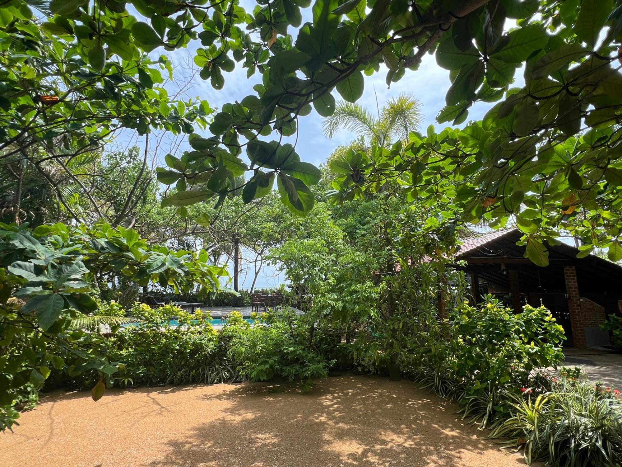 Lohas Beach Resort Villa Kalutara Dış mekan fotoğraf