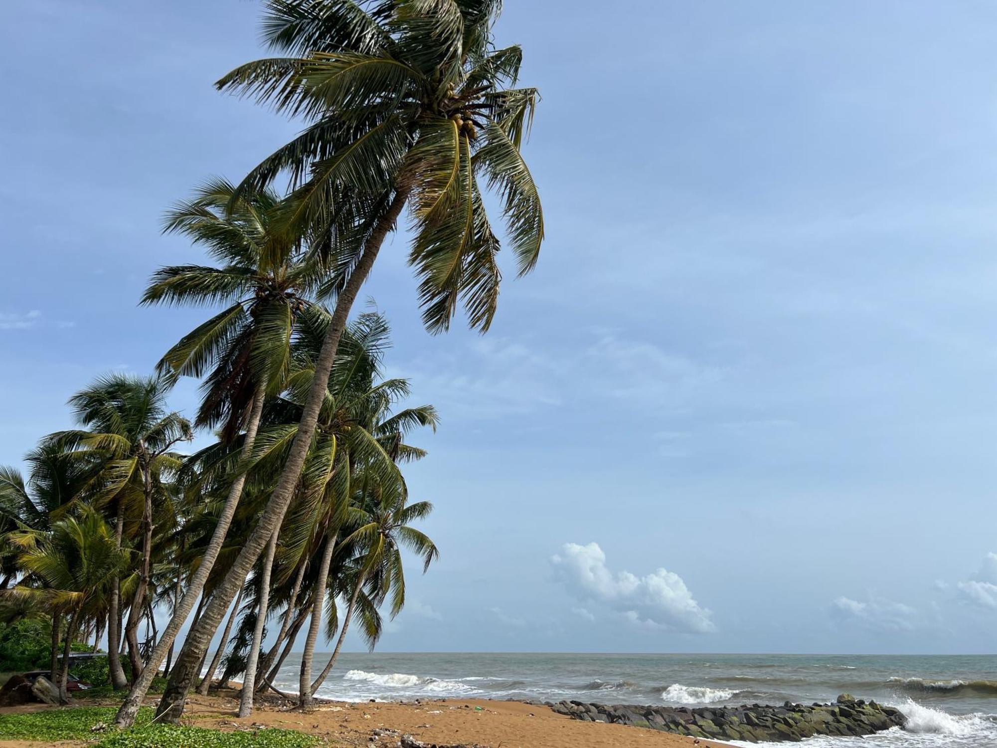 Lohas Beach Resort Villa Kalutara Dış mekan fotoğraf